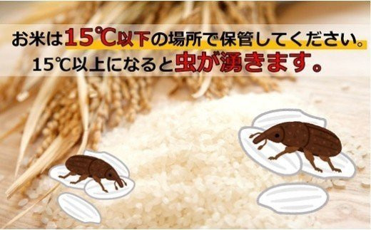 アイテムID:449167の画像2枚目