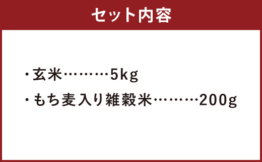 熊本県菊池産 ヒノヒカリ 玄米 5kg もち麦入り雑穀米 200g