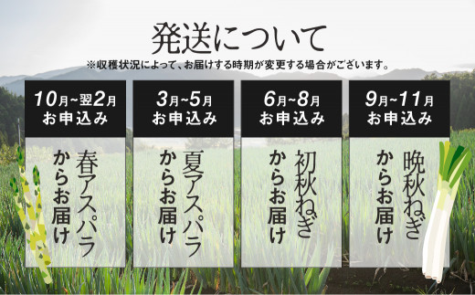 アイテムID:374068の画像3枚目