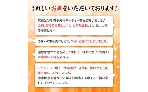 うに 100g 北海道産 ふり塩うに エゾバフンウニ ふるさと納税 ウニ 魚介類 おつまみ 北海道鹿部町 ふるさとチョイス ふるさと納税サイト