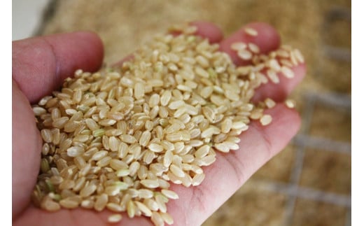 熊本県菊池産 ヒノヒカリ 玄米 5kg もち麦入り雑穀米 200g