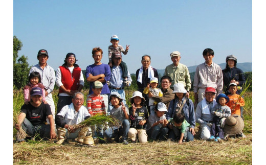 【定期便12ヶ月】熊本県菊池産 ヒノヒカリ 玄米 計60kg（5kg×12回）