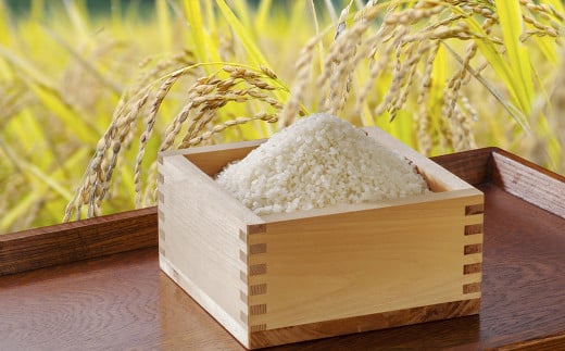 自分たちの手で作ったお米は格別の味わいです！