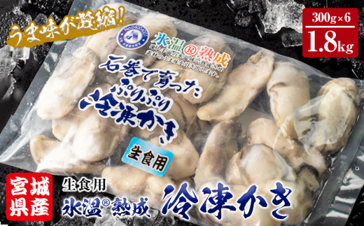 宮城県産 牡蠣 氷温熟成かき 生食用(冷凍)1.8kg(300g×6パック)