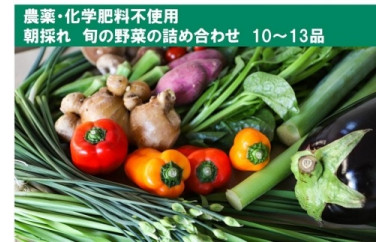 【栽培期間中農薬・化学肥料不使用】土佐の太陽をいっぱいに浴びた旬の野菜セット「大」