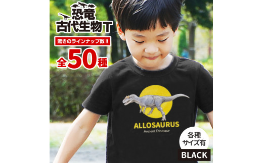 713 恐竜 古代生物tシャツ 1枚 福島県いわき市 ふるさと納税 ふるさとチョイス