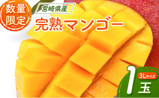 宮崎県産 完熟マンゴー 3Lサイズ1玉【B524】