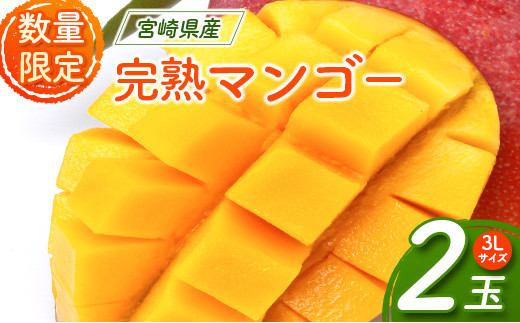 宮崎県産 完熟マンゴー 3Lサイズ2玉【C344】