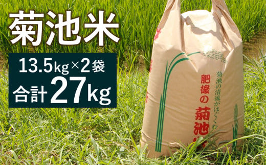 菊池米 精米 27kg（13.5kg×2袋）ヒノヒカリ お米 米【ファームきくち】 990337 - 熊本県菊池市
