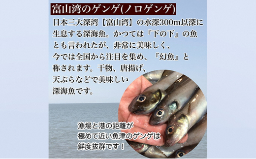 富山湾深海魚】ゲンゲの干物 2種セット（上干し・生干し 各2袋