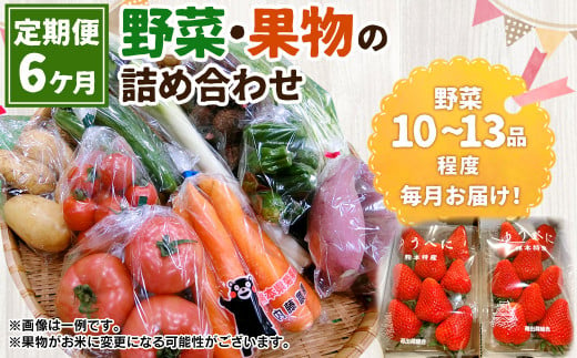 【6ヶ月定期便】菊陽町特産品 「野菜・果物などの詰め合わせ」 