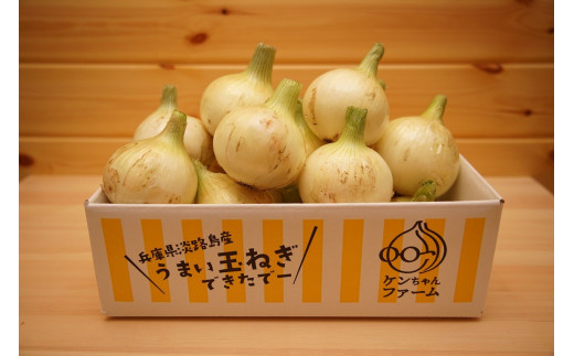 【新玉予約！】＼うまい玉ねぎできたでー／ 特別栽培・新玉ねぎ3㎏ （早生）～ひょうご安心ブランド認証取得～◆配送4月下旬～5月下旬