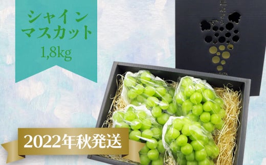 22年秋産先行予約 シャインマスカット約1 8kg 2 4房 H132 R4 山形県長井市 ふるさと納税 ふるさとチョイス