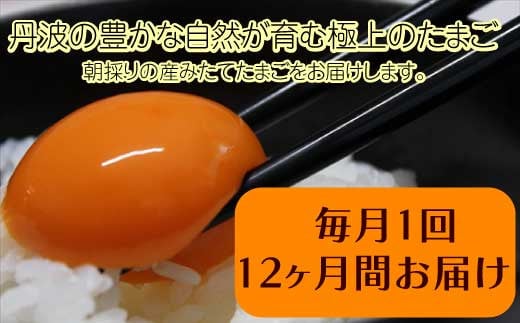 【12ヶ月定期便】「村上さん家のせせらぎ卵」　45個＋5個破卵補償　(計50個） 651956 - 兵庫県丹波市