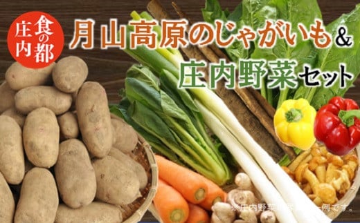 食の都庄内　月山高原のじゃがいも＆庄内野菜セット※10月下旬から1月まで発送 2014835 - 山形県三川町
