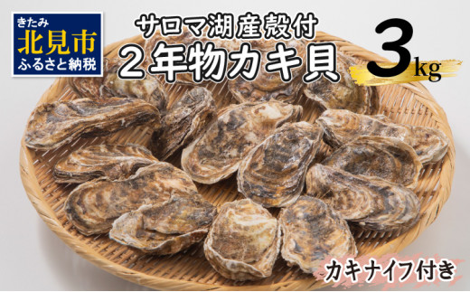 A 479 22 海のミルクサロマ湖産殻付2年物カキ貝 3kg 30個入 カキナイフ付 22年10月から配送 北海道北見市 ふるさとチョイス ふるさと納税サイト