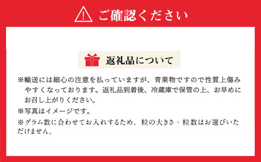 【数量限定】大粒 あまおう 約300g×4パック 計1.2kg いちご