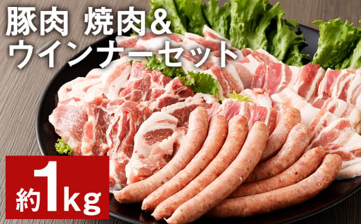豚肉（金TONG）焼肉＆ウインナー セット 計1kg 4種 食べ比べ 国産 989686 - 熊本県菊池市