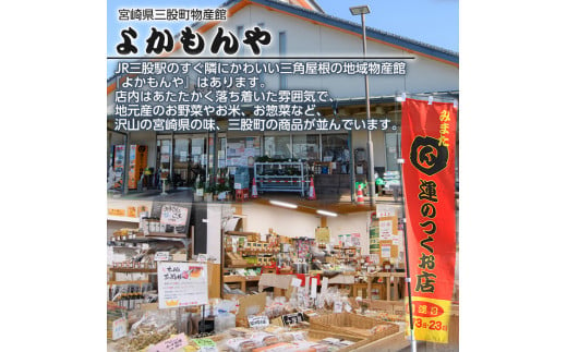 MI102  《数量限定》猫さんへ贈る匠の技セット(2種)耐久性のある柔らかい木材を使用した桶、和紙素材を加工した畳のセット【MI102】【みまたんよかもん協同組合】