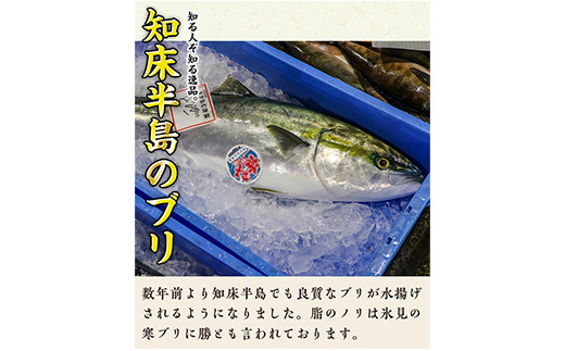 北海道 知床羅臼産 天然ぶり刺身 750g 250g 3パック F21m 745 北海道羅臼町 ふるさと納税 ふるさとチョイス