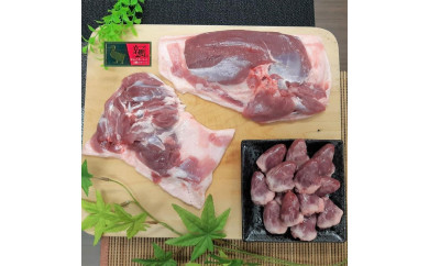 麺麓】鴨肉ブロック ロース肉（約400～500g） - 京都府京都市 