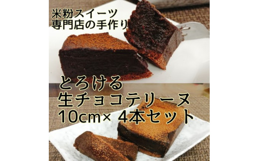 5656 1853 濃厚とろける 生チョコ テリーヌ ケーキ 10cm 4本セット 配送不可 離島 福岡県朝倉市 ふるさと納税 ふるさとチョイス