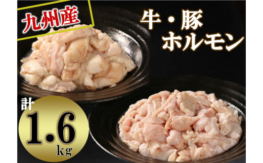九州産　牛・豚ホルモンセット　計1.6kg [10-144]