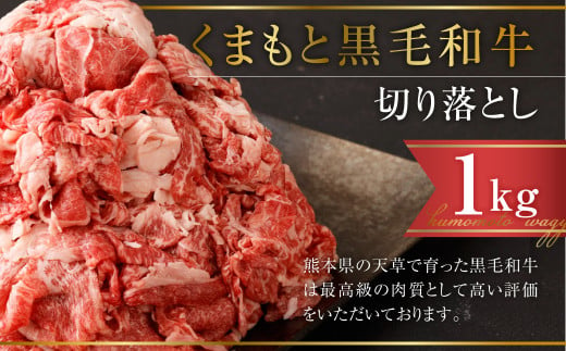 天草 黒毛和牛 切り落とし 計1㎏(500g×2パック) 牛肉 799257 - 熊本県熊本市