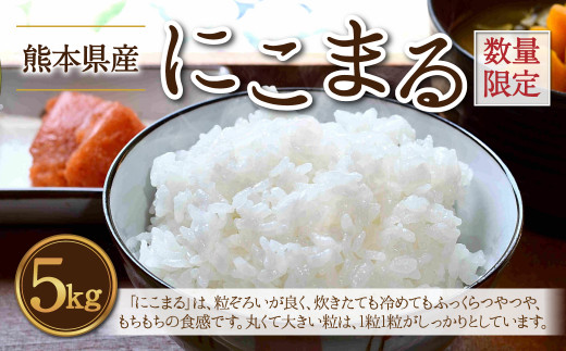 【数量限定】 熊本県産 にこまる 5kg お米 食味コンクール 金賞