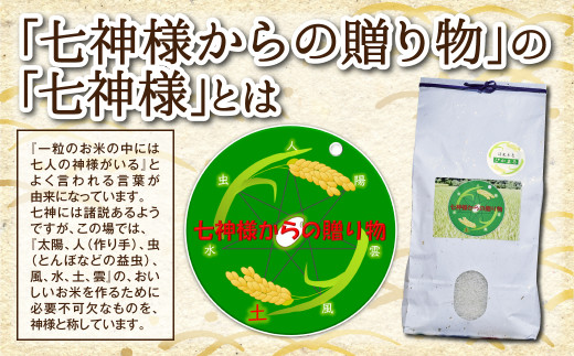 【数量限定】【低アミロース米】熊本県産 ぴかまる 5kg