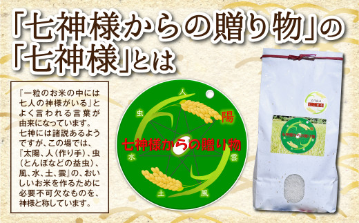 【数量限定】 熊本県産 にこまる 5kg お米 食味コンクール 金賞