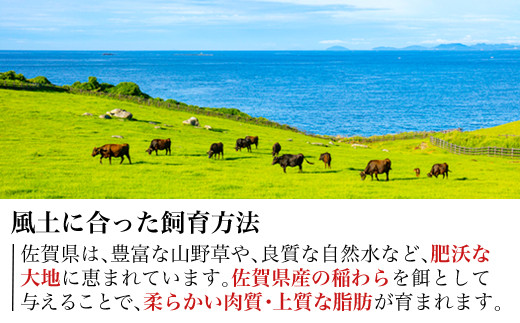 佐賀県の風土に合った飼育方法で佐賀県産の稲わらを餌として
与えることで、柔らかいで上質な肉質に。
