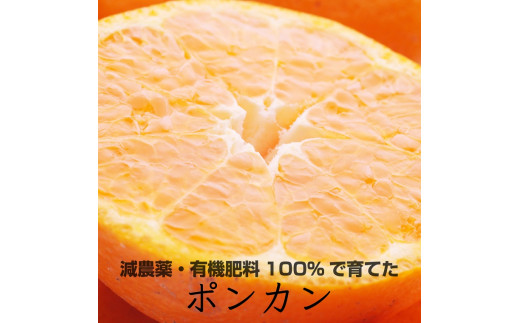 特別栽培ポンカン5kg 【有機肥料100%・減農薬栽培で育てました】 ※2022年1月上旬~2月下旬頃に順次発送予定※北海道・沖縄・離島への配送不可 653051 - 和歌山県広川町
