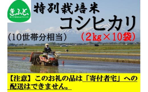【こども支援プロジェクト】米蔵いいの特別栽培米コシヒカリ2kg×10袋（約10世帯分相当）