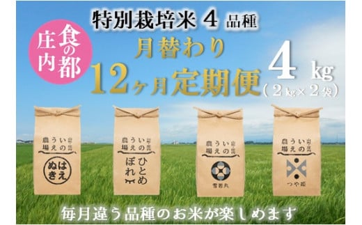 食の都庄内　【定期便12回】特別栽培米4品種月替わり12ヶ月定期便《井上農場》