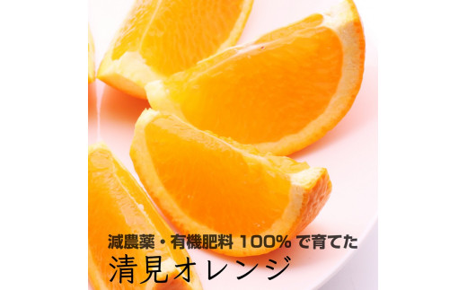 特別栽培清見オレンジ4 5kg 有機肥料100 減農薬栽培で育てました きよみオレンジ 22年4月上旬 下旬頃に順次発送予定 北海道 沖縄 離島への配送不可 和歌山県広川町 ふるさと納税 ふるさとチョイス