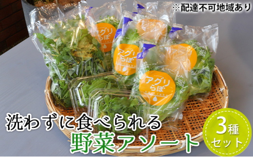 植物工場産 洗わずに食べられる野菜アソート3種セット フリルレタス アイスプラント よもぎ 5972 0281 兵庫県加東市 ふるさと納税 ふるさとチョイス