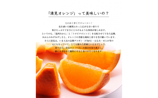 特別栽培清見オレンジ4 5kg 有機肥料100 減農薬栽培で育てました きよみオレンジ 22年4月上旬 下旬頃に順次発送予定 北海道 沖縄 離島への配送不可 和歌山県広川町 ふるさと納税 ふるさとチョイス