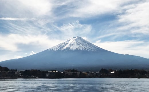 富士山ソファーのイメージモデルの仕事を快く受けてくれた富士さん、ありがとうございます。