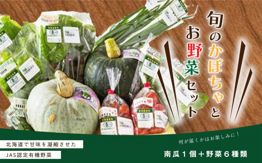 【JAS認定有機野菜】旬の南瓜とお野菜セット(南瓜1個と野菜6種類入り) ふるさと納税 人気 おすすめ ランキング 旬 野菜セット かぼちゃ 南瓜 カボチャ 紫からし菜 からし菜 わさび菜 玉レタス サニーレタス ルッコラ レッドオーク レッドロメイン グリーンオーク グリーンロメイン キャベツ ジャガイモ じゃがいも 新鮮 鮮度抜群 野菜 健康 北海道 北斗市 送料無料 HOKB004 618606 - 北海道北斗市