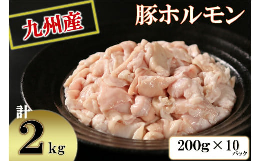 九州産　豚ホルモン(豚直腸)　2kg[生・冷凍] [10-145]