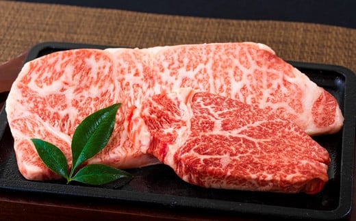 B222p 長崎和牛サーロイン･ヒレ食べ比べステーキセット