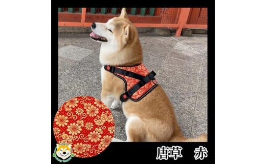 柴犬コウタのハッピィショップ 中型犬用 京都西陣金襴織 ハーネス 華 Hana 唐草 京都府京都市 ふるさと納税 ふるさとチョイス