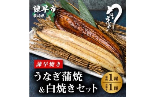 活うなぎ問屋 諫早淡水 うなぎ蒲焼 白焼きセット 国産うなぎ 九州 ウナギ 鰻 長崎県諫早市 ふるさと納税 ふるさとチョイス