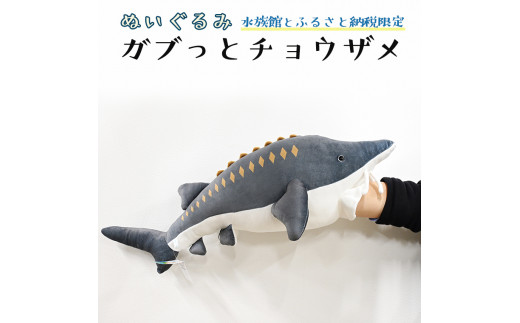 ぬいぐるみ ガブっとチョウザメ アクアワールド 大洗 オリジナル チョウザメ サメ グッズ 茨城 水族館 さめ 鮫 限定 茨城県大洗町 ふるさと納税 ふるさとチョイス