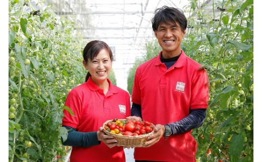 【個数限定】おすすめトマト3種 食べ比べ 1.5㎏ 3回定期便 長田農園しかできない夢の共演 H004-064