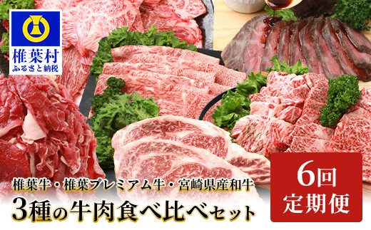 定期便6回・偶数月のみ配送】総重量6.3kg！【3種の牛肉】椎葉牛・椎葉