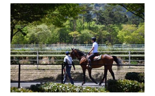 初心者向け　馬と仲良くなれるミニ講習＆乗馬体験コース（60分程度）【43001】