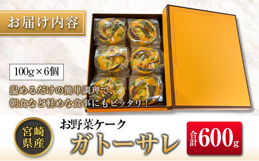 心でつなぐ 宮崎県産お野菜ケーク ガトーサレ 100g 6個 宮崎県 ふるさと納税 ふるさとチョイス