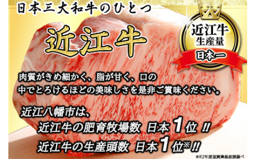 4等級以上】極上近江牛焼肉セット モモ・バラ【800g（モモ400ｇバラ